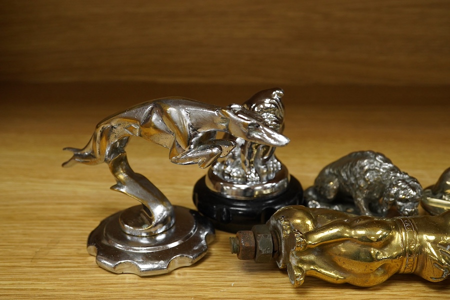 Five dog themed car mascots, including a French bulldog, a greyhound, etc. together with three other cast figures of dogs, some chrome plated, (8). Condition - fair.